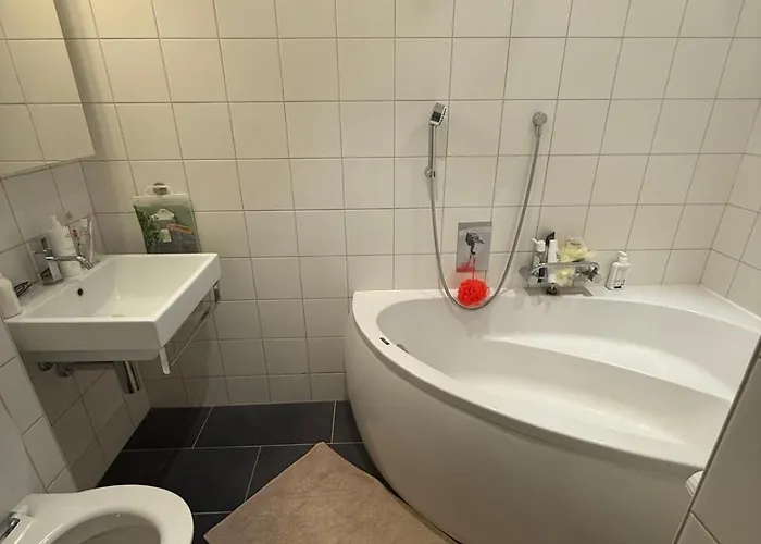 - 克莱恩 蒙塔纳